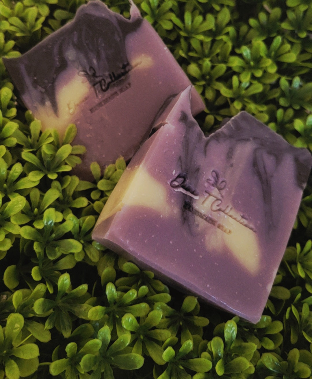 Black Raspberry Vanilla Bar Soap